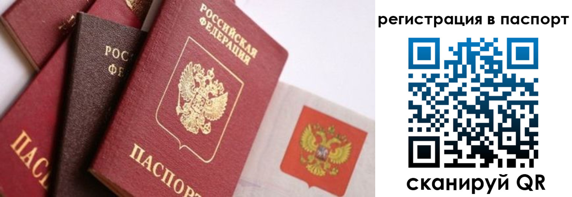 прописка в квартире в Данилове